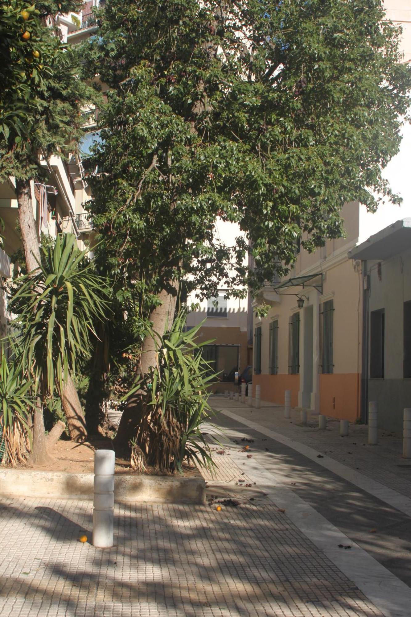 "Under The Olive Tree"- Beautiful Apartment In The Heart Of Atenas Exterior foto