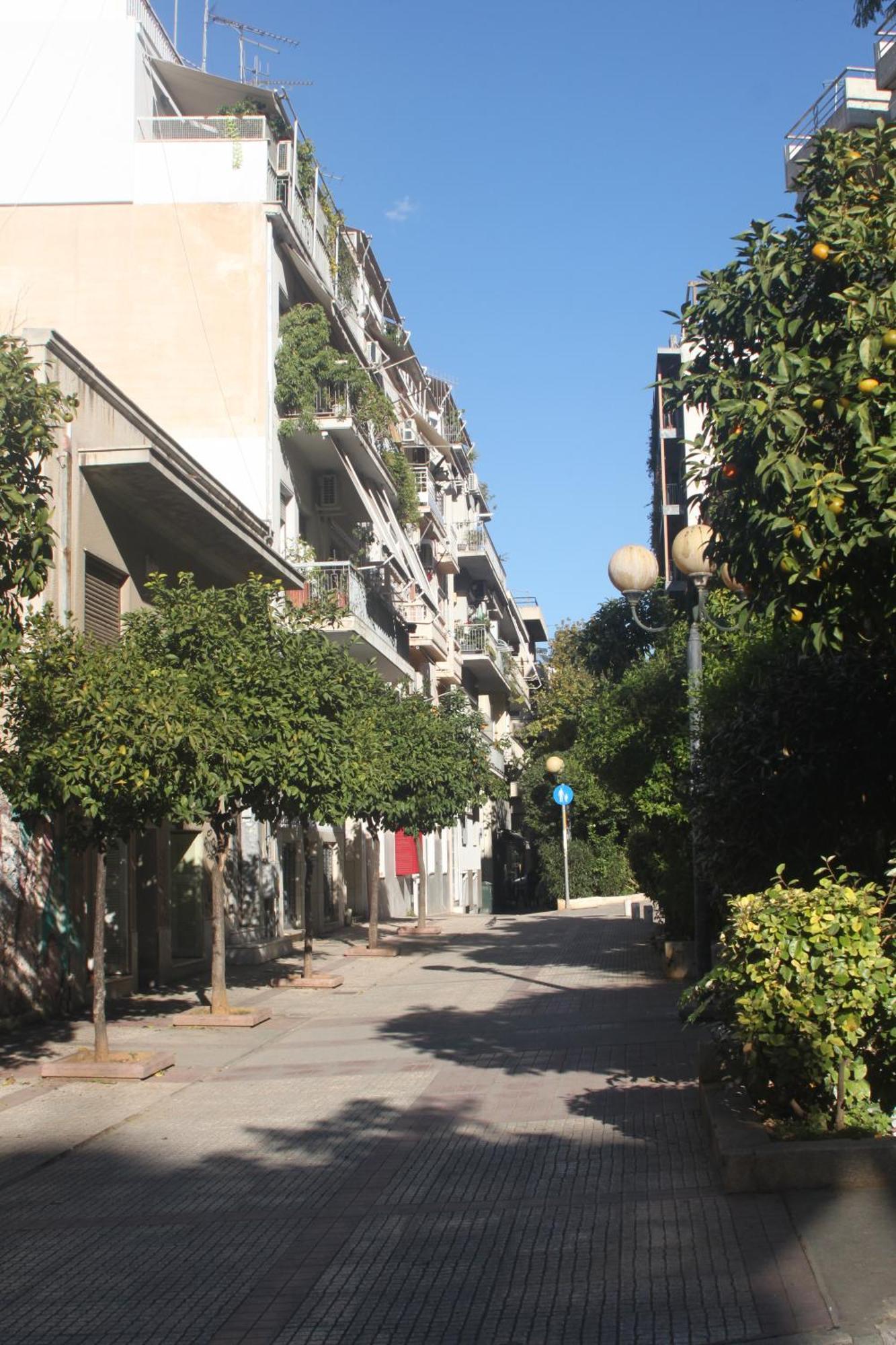 "Under The Olive Tree"- Beautiful Apartment In The Heart Of Atenas Exterior foto